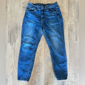 Judy Blue Skinny Jeans 14W